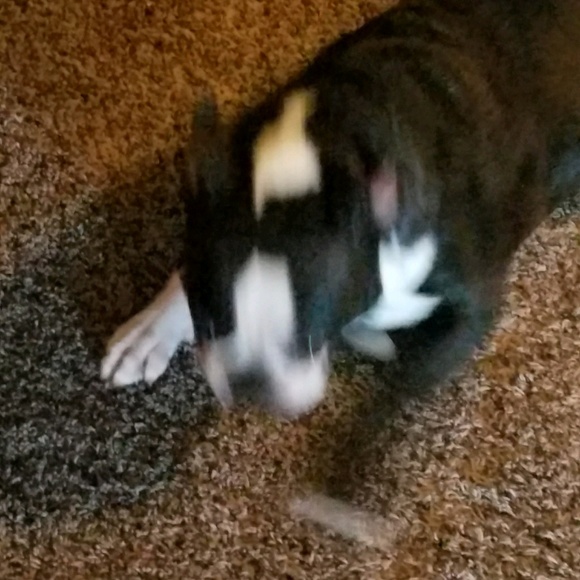 Meet your Posher, C - Picture 1 of 1